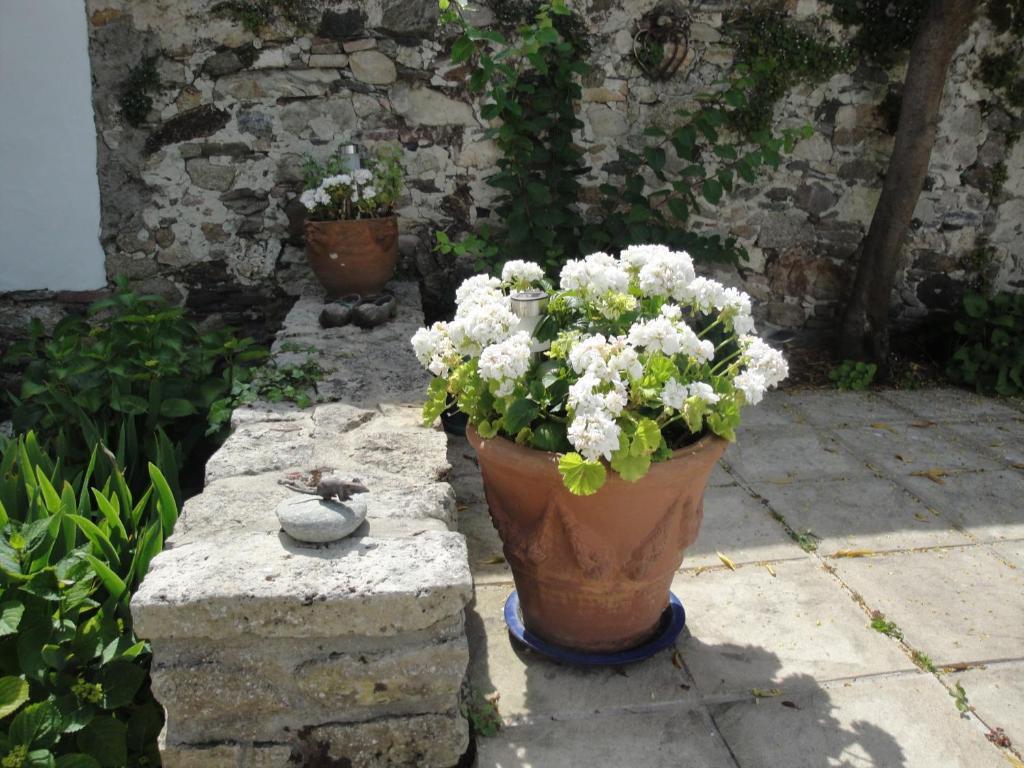 Le Buzet Bleu Bed & Breakfast Noirmoutier-en-l'Ile Exteriör bild